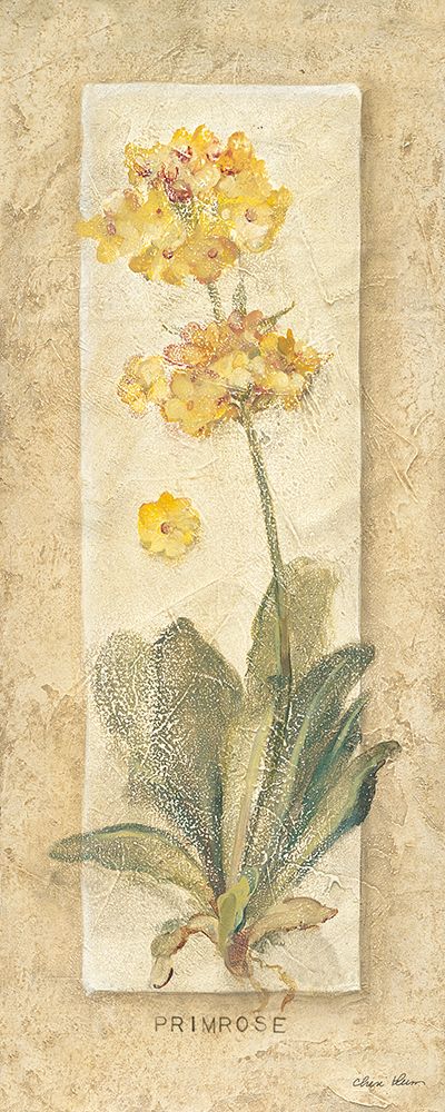 Primrose art print by Cheri Blum for $57.95 CAD