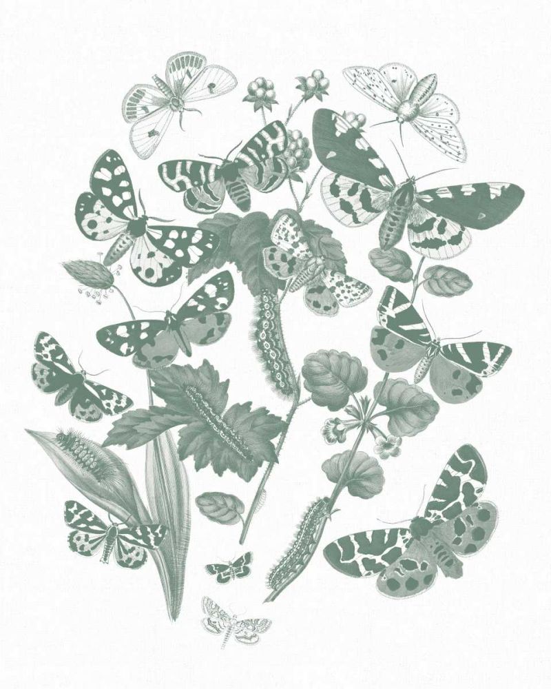 Butterfly Bouquet IV Sage art print by Wild Apple Portfolio for $57.95 CAD