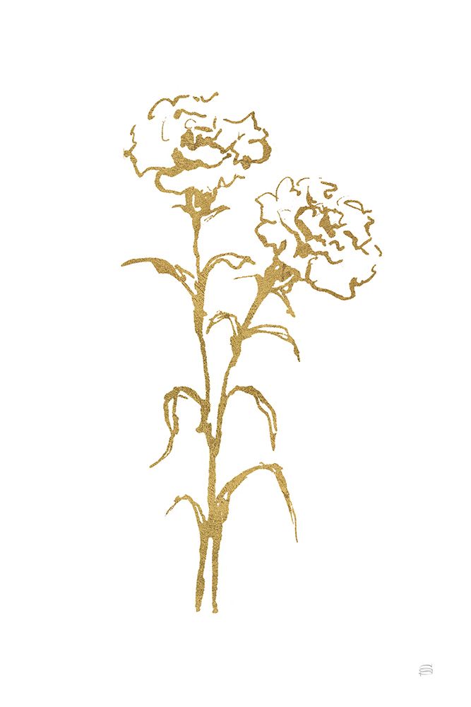 Gold Line Carnation II art print by Chris Paschke for $57.95 CAD