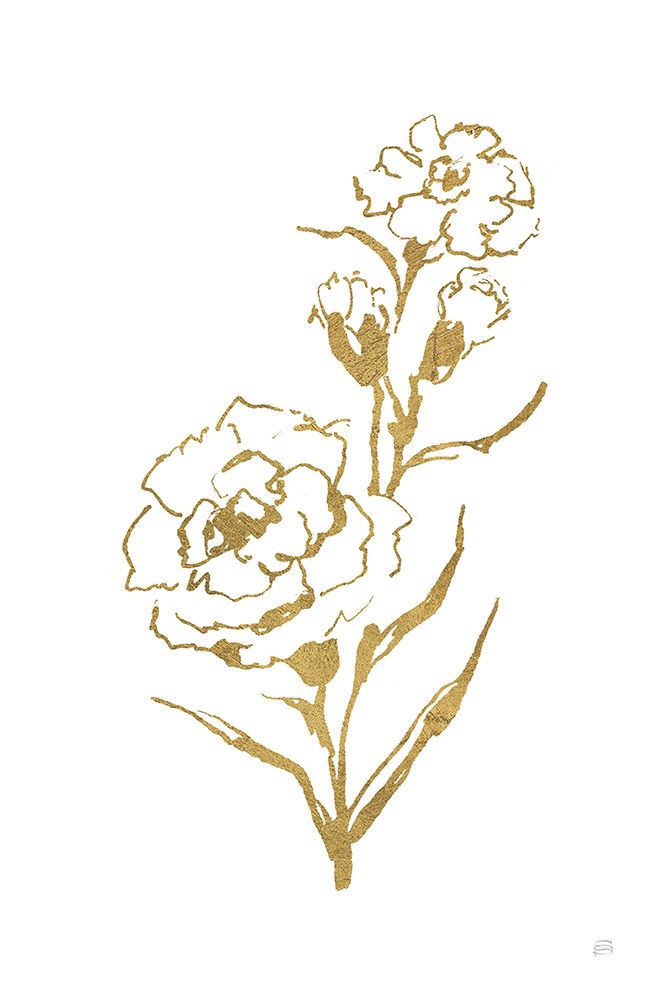 Gold Line Carnation III art print by Chris Paschke for $57.95 CAD