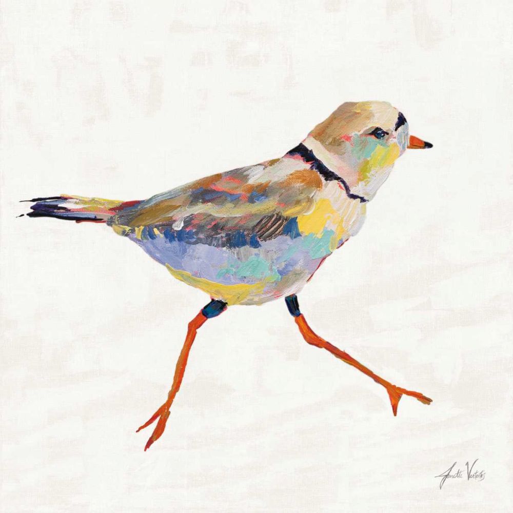 Coastal Plover I Linen art print by Jeanette Vertentes for $57.95 CAD