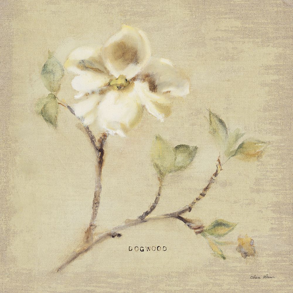 Dogwood Blossom art print by Cheri Blum for $57.95 CAD