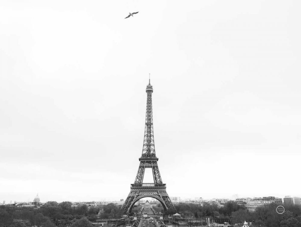 A Birds View of Paris art print by Nathan Larson for $57.95 CAD