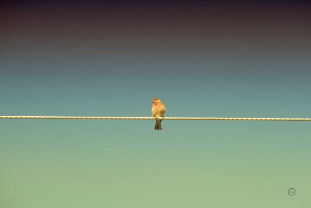 Waiting art print by Nathan Larson for $57.95 CAD