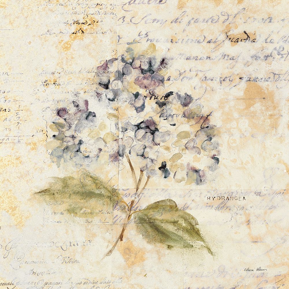 White Wash Hydrangea art print by Cheri Blum for $57.95 CAD