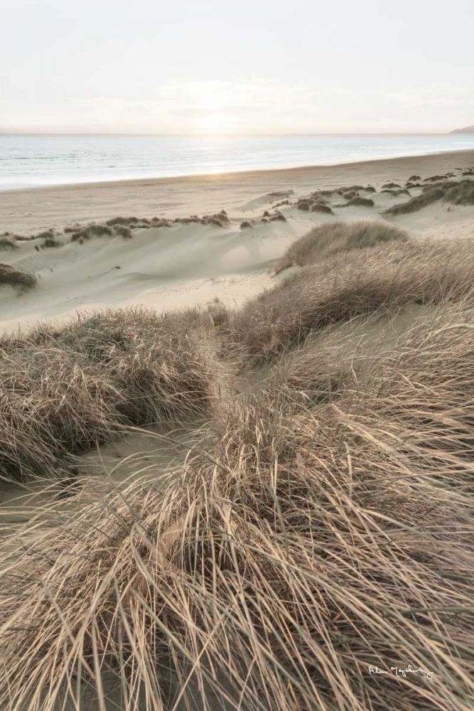Beach Grasses art print by Alan Majchrowicz for $57.95 CAD