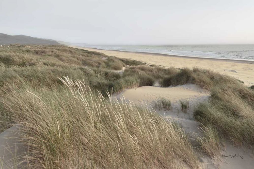 Oregon Dunes art print by Alan Majchrowicz for $57.95 CAD
