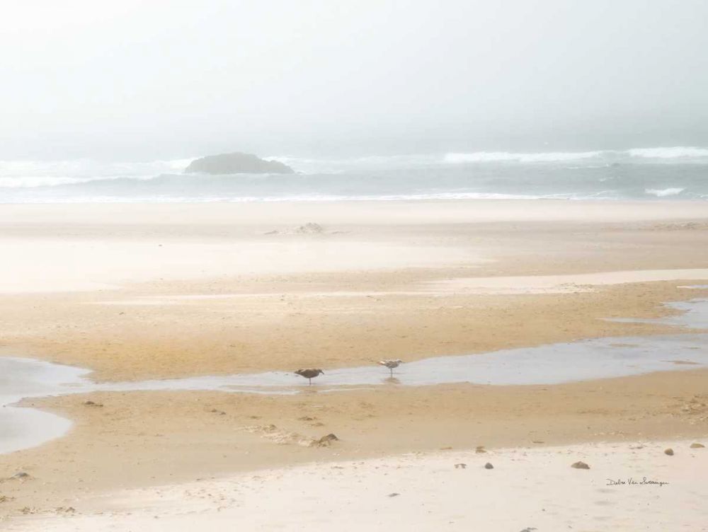 Cold Beach I art print by Debra Van Swearingen for $57.95 CAD