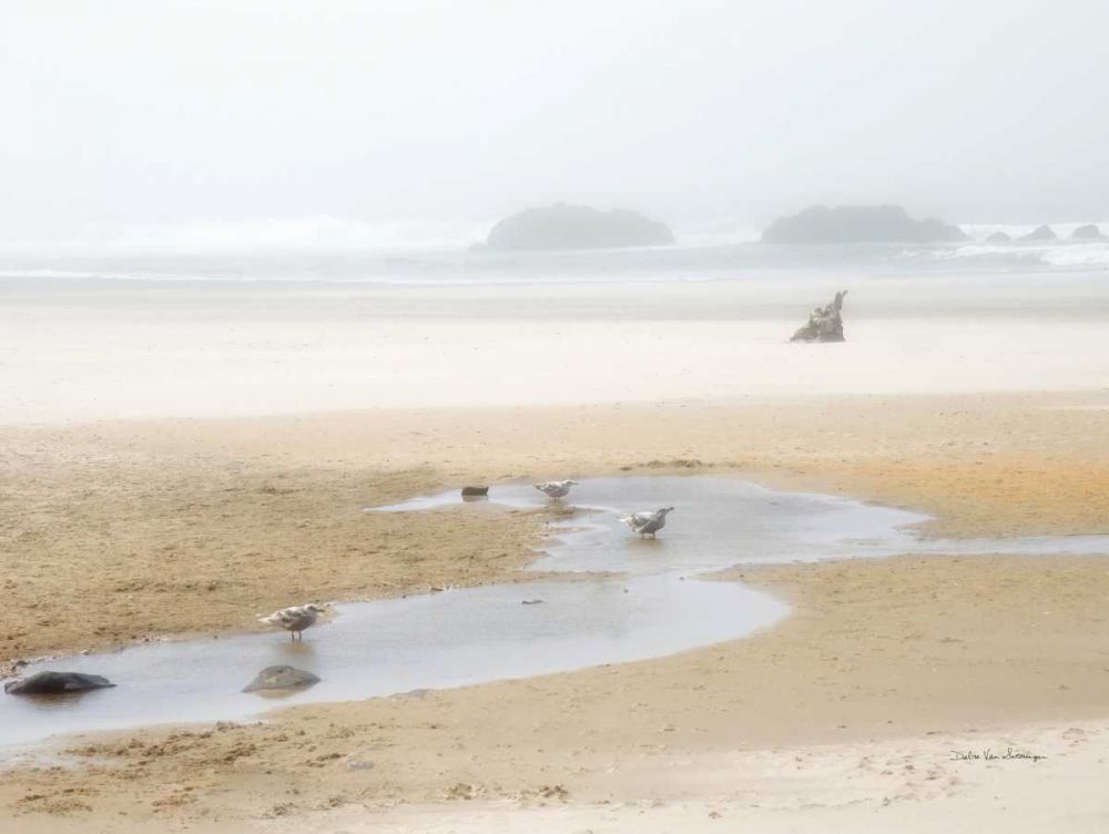 Cold Beach II art print by Debra Van Swearingen for $57.95 CAD