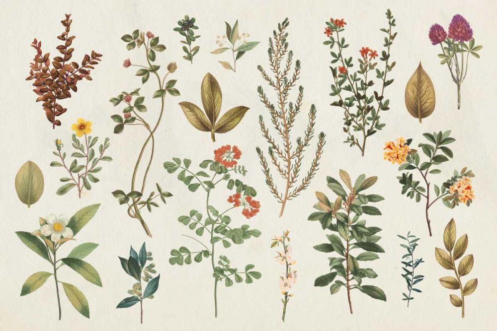 Victorian Garden III Autumn art print by Wild Apple Portfolio for $57.95 CAD