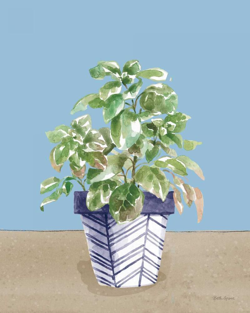 Herb Garden II White Navy art print by Beth Grove for $57.95 CAD