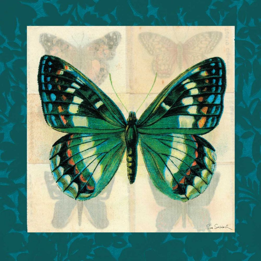 Silk Butterfly II art print by Sue Schlabach for $57.95 CAD