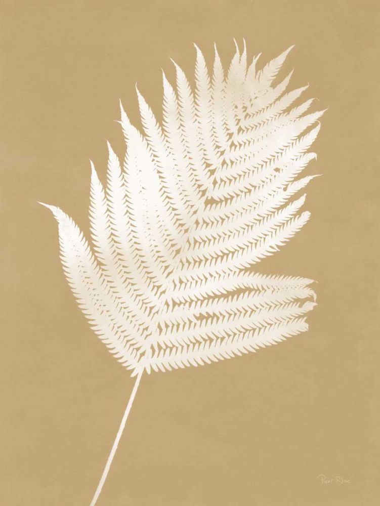 Nature by the Lake Ferns III Brown art print by Piper Rhue for $57.95 CAD