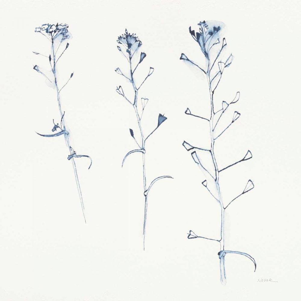 Shepherds Purse Stems I Blue art print by Shirley Novak for $57.95 CAD