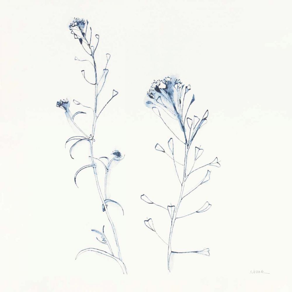 Shepherds Purse Stems II Blue art print by Shirley Novak for $57.95 CAD