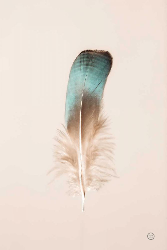 Floating Feathers IV art print by Nathan Larson for $57.95 CAD