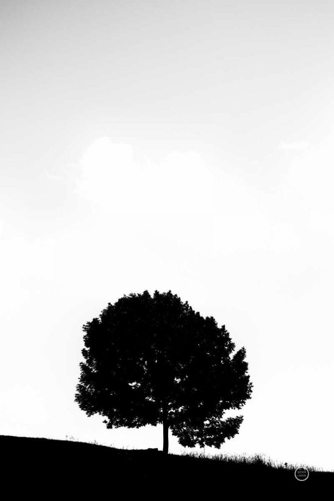 Lone Tree Hill art print by Nathan Larson for $57.95 CAD