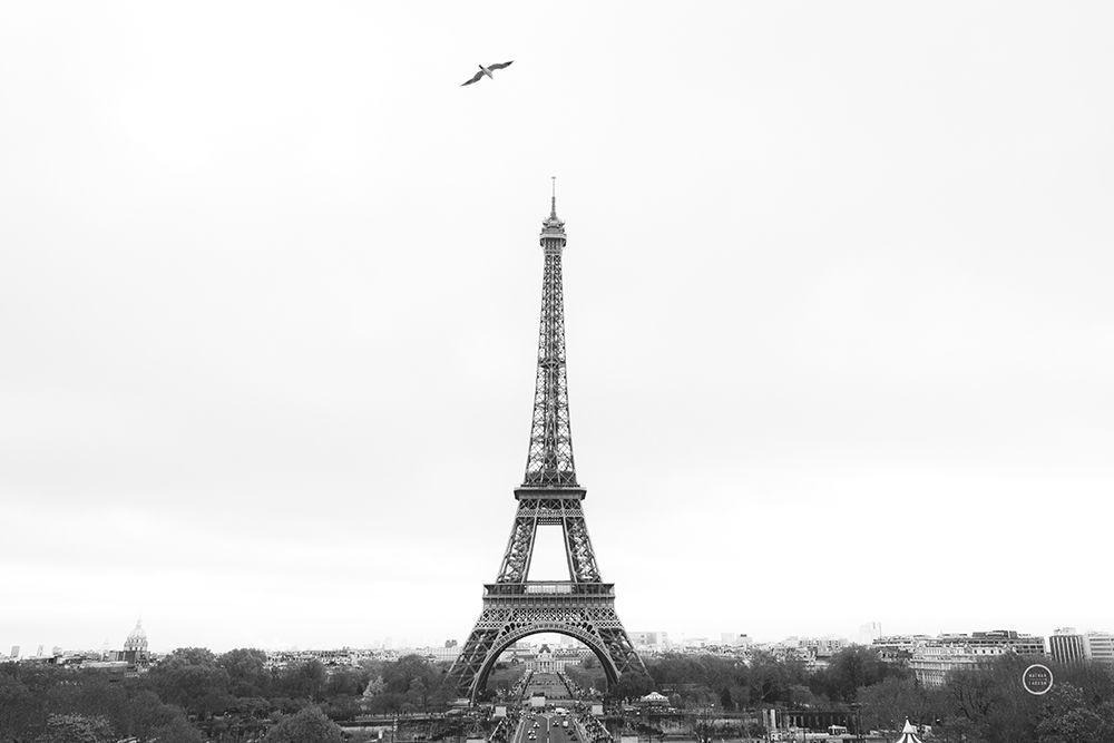 A Birds View of Paris Crop I art print by Nathan Larson for $57.95 CAD
