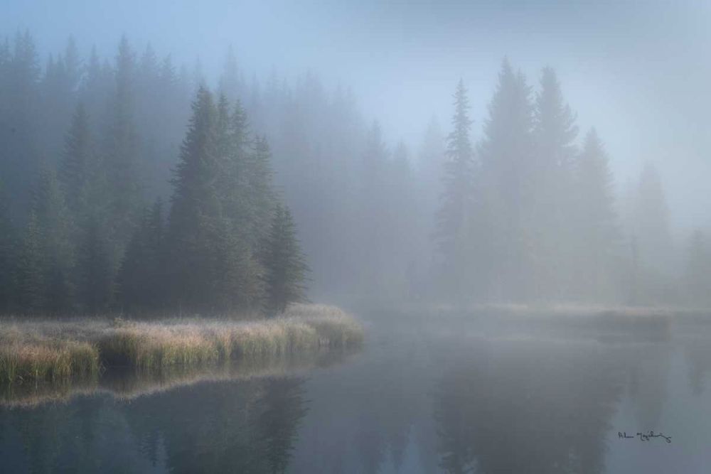 Grand Teton Lake Fog art print by Alan Majchrowicz for $57.95 CAD