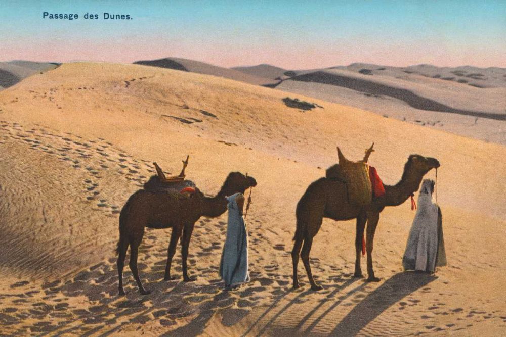 Desert Crossing art print by Wild Apple Portfolio for $57.95 CAD