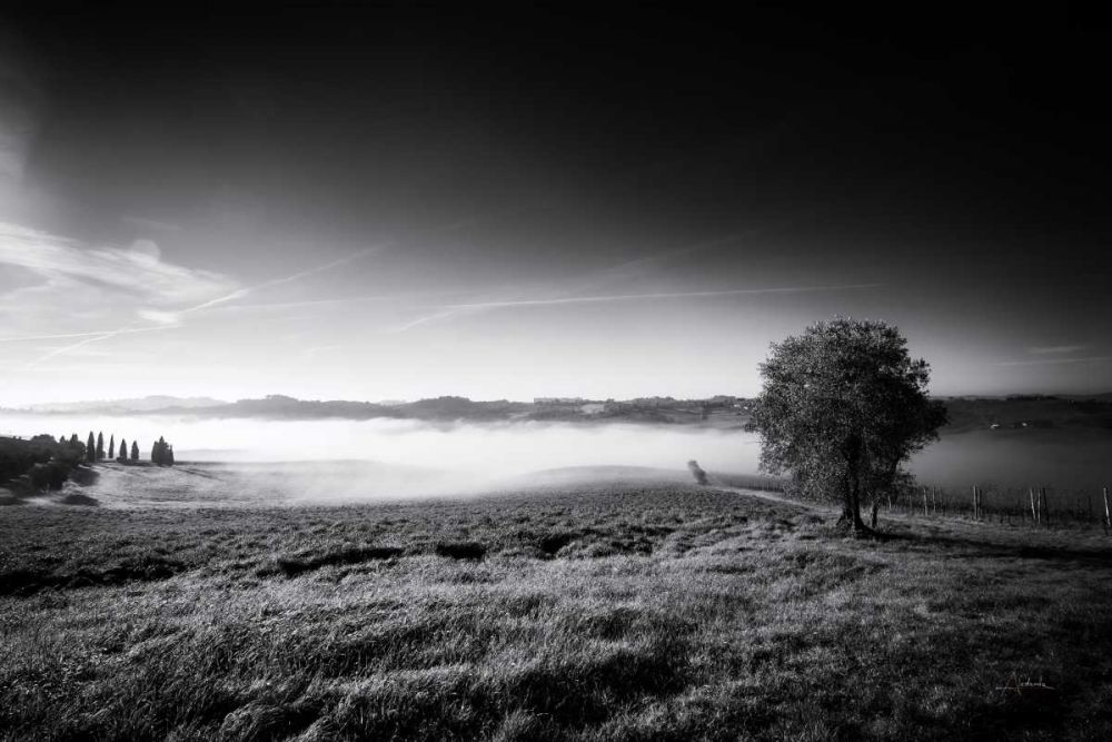 Valley Fog art print by Aledanda for $57.95 CAD
