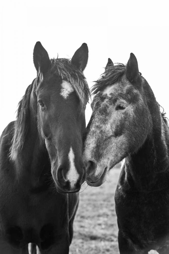 Good Friends Mane art print by Aledanda for $57.95 CAD