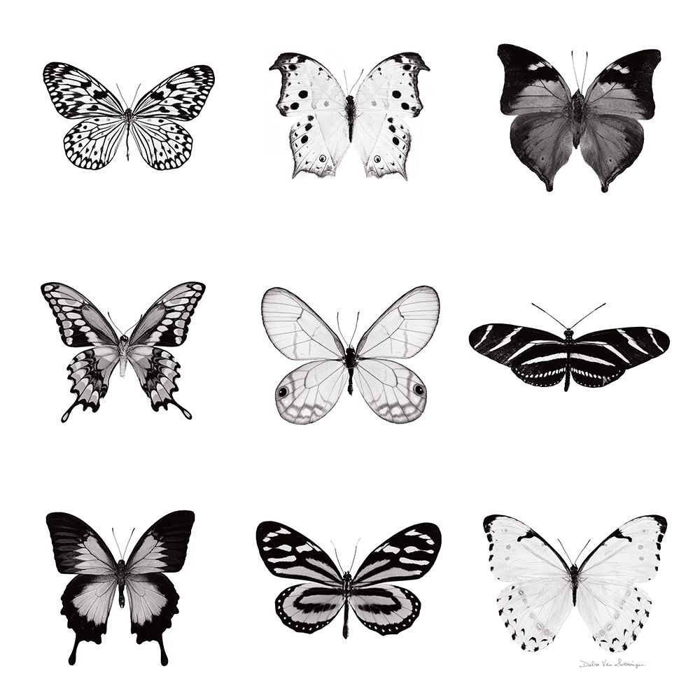 BW Butterfly Chart art print by Debra Van Swearingen for $57.95 CAD