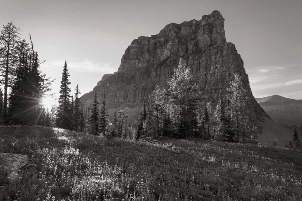 Boulder Pass Glacier National Park BW art print by Alan Majchrowicz for $57.95 CAD