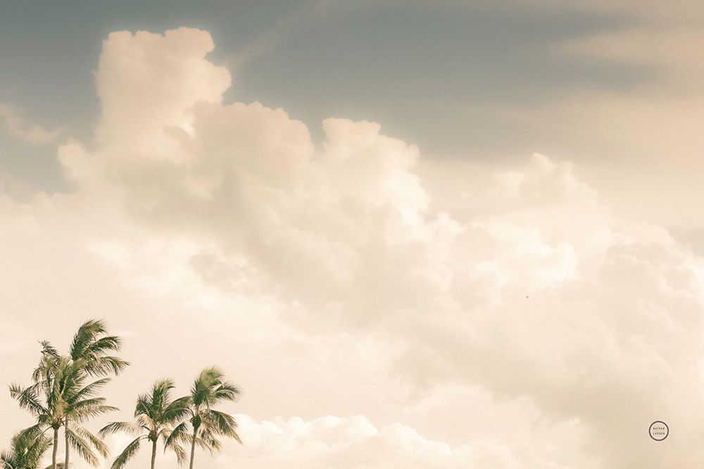 Lone Bird Ocean View art print by Nathan Larson for $57.95 CAD