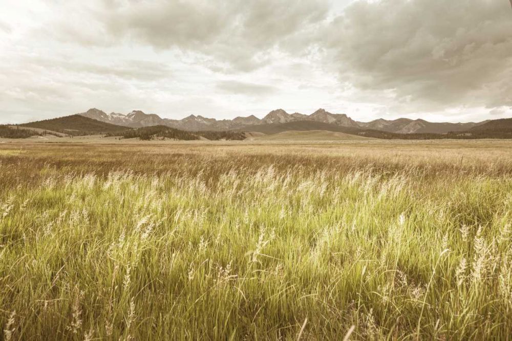 Sawtooth Mountains Idaho II art print by Alan Majchrowicz for $57.95 CAD