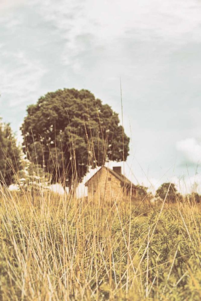 Grass and Sky Light art print by Aledanda for $57.95 CAD