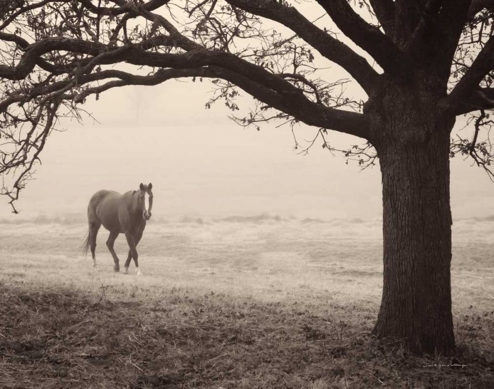 Hazy Horse I art print by Debra Van Swearingen for $57.95 CAD