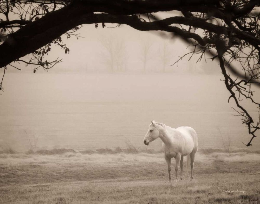 Hazy Horse II art print by Debra Van Swearingen for $57.95 CAD