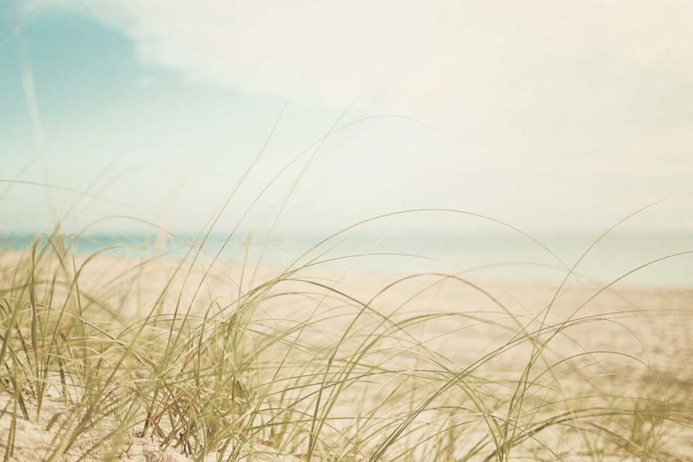 Beach Grass V Light art print by Elizabeth Urquhart for $57.95 CAD