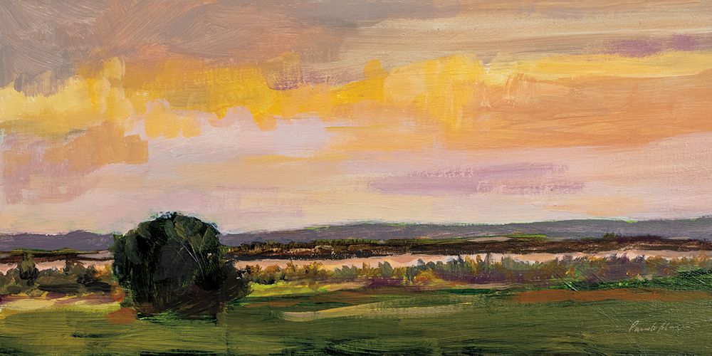 Dusk on Mesa art print by Pamela Munger for $57.95 CAD