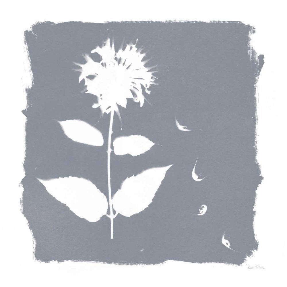 Nature by the Lake Flowers II Neutral art print by Piper Rhue for $57.95 CAD