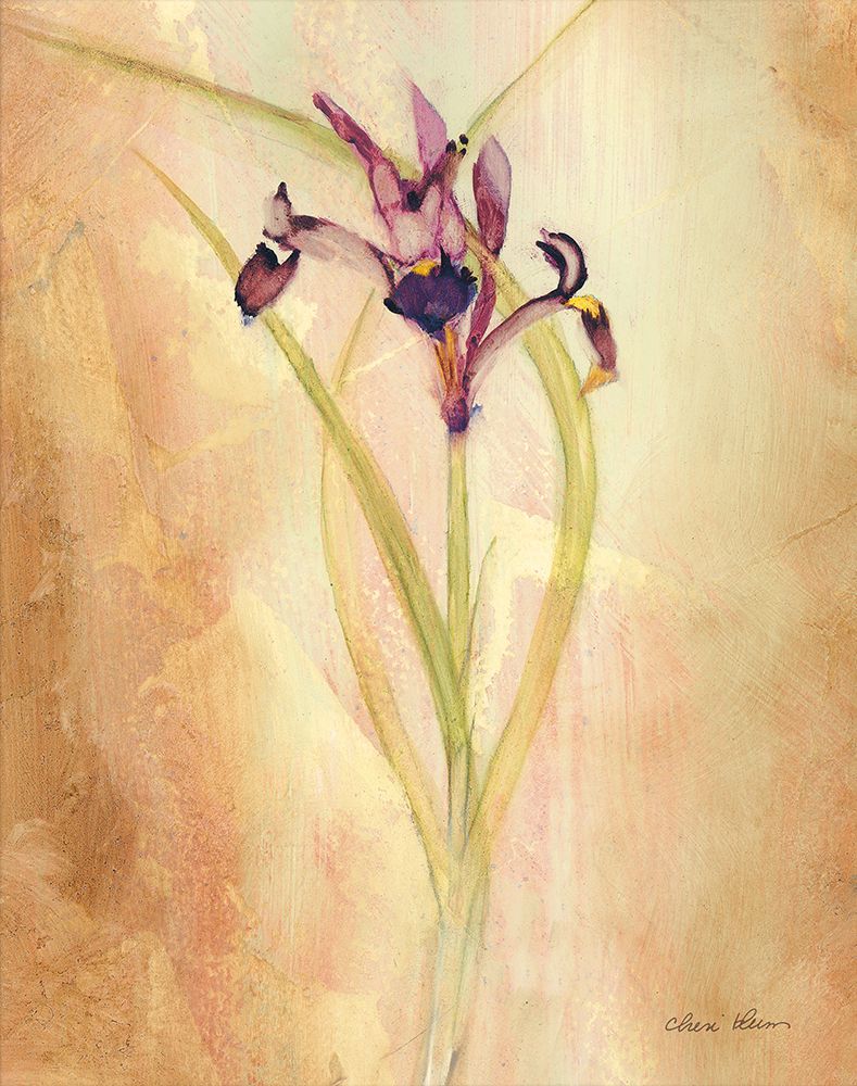 Purple Iris art print by Cheri Blum for $57.95 CAD