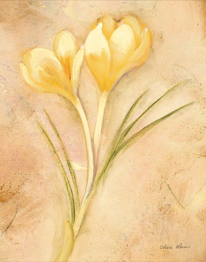 Yellow Crocus art print by Cheri Blum for $57.95 CAD