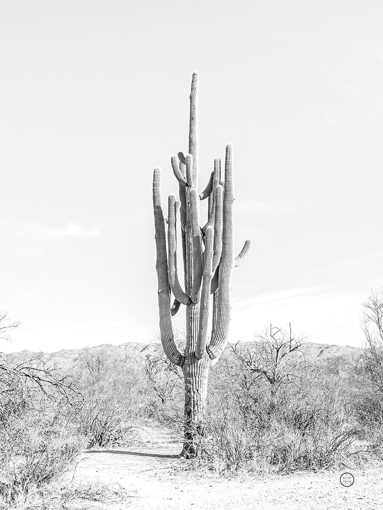 Standing Alone art print by Nathan Larson for $57.95 CAD