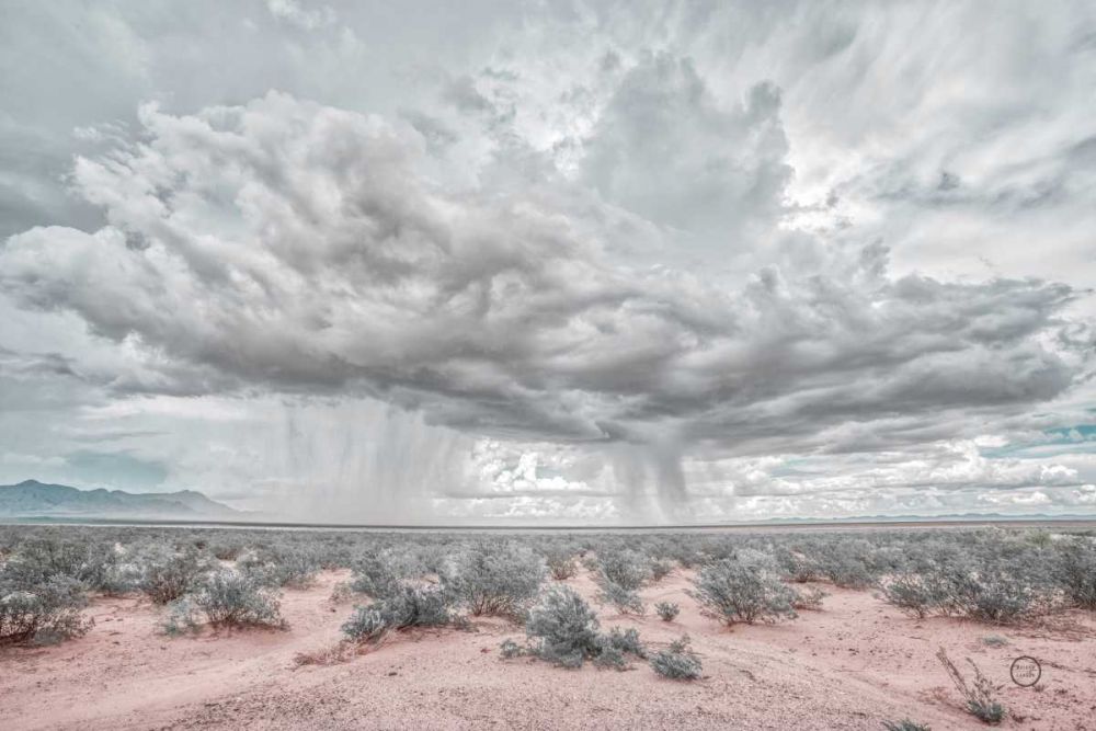 New Mexico Rain art print by Nathan Larson for $57.95 CAD