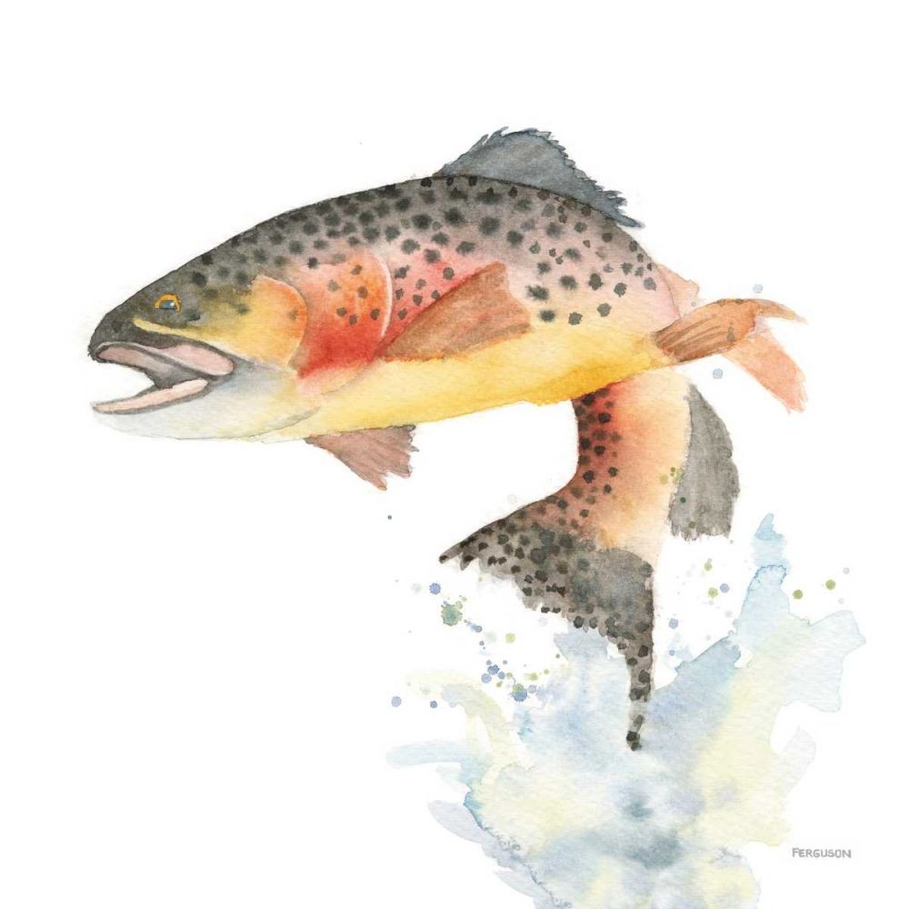 Cutthroat Trout art print by Kathy Ferguson for $57.95 CAD