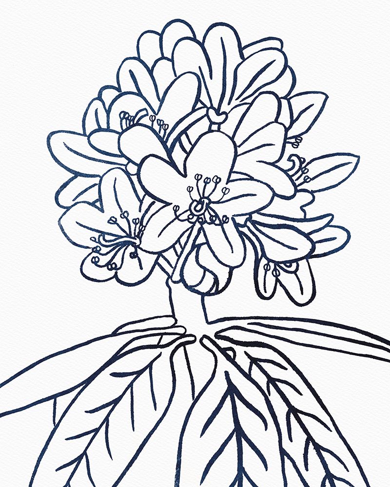 BW Blooms II art print by Wild Apple Portfolio for $57.95 CAD