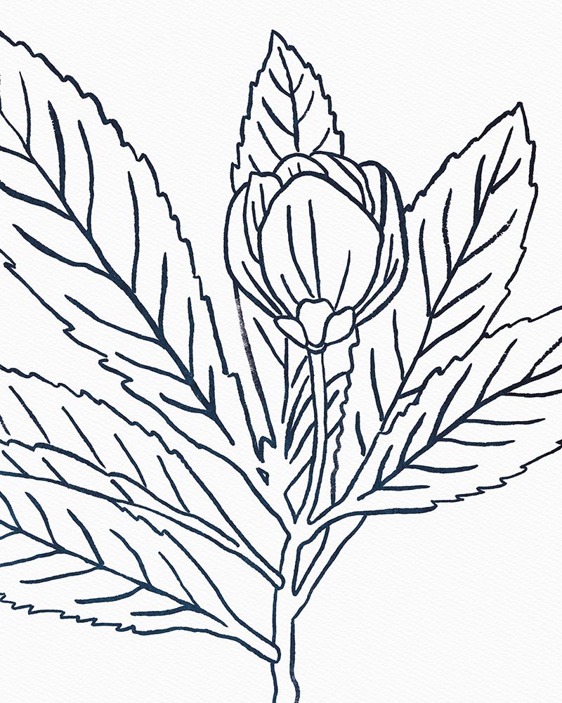BW Blooms IV art print by Wild Apple Portfolio for $57.95 CAD