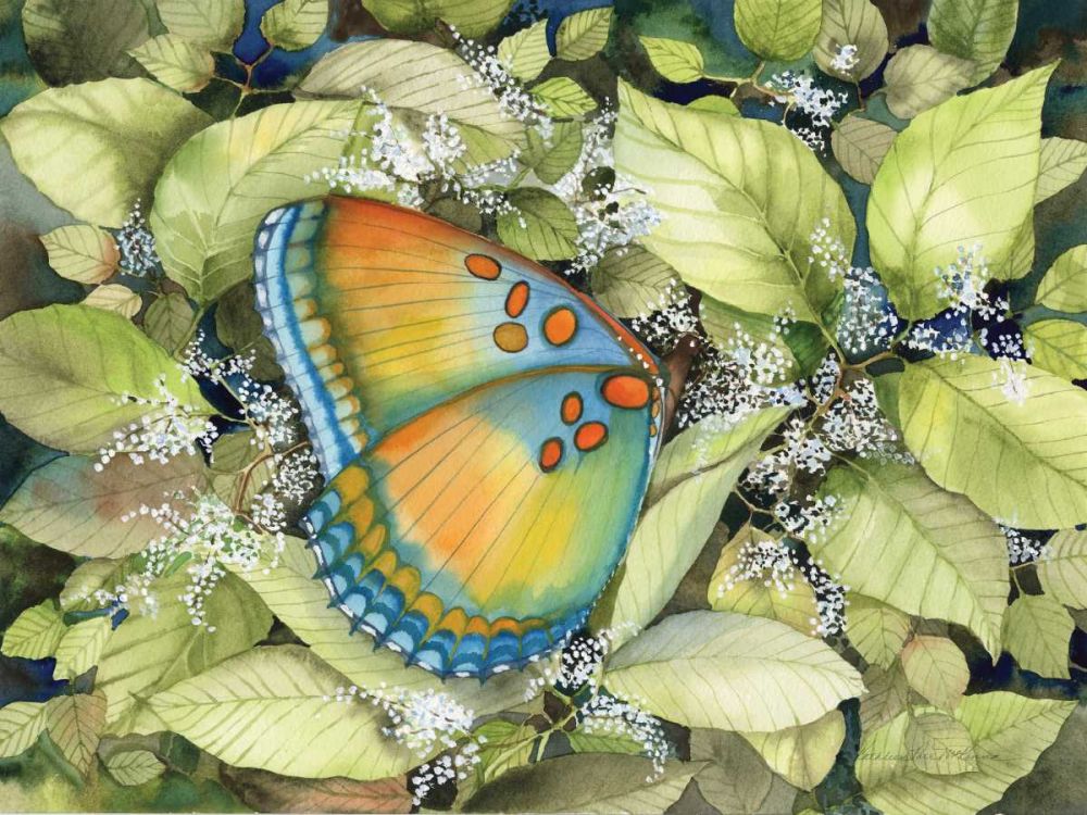 Royal Butterfly art print by Kathleen Parr McKenna for $57.95 CAD