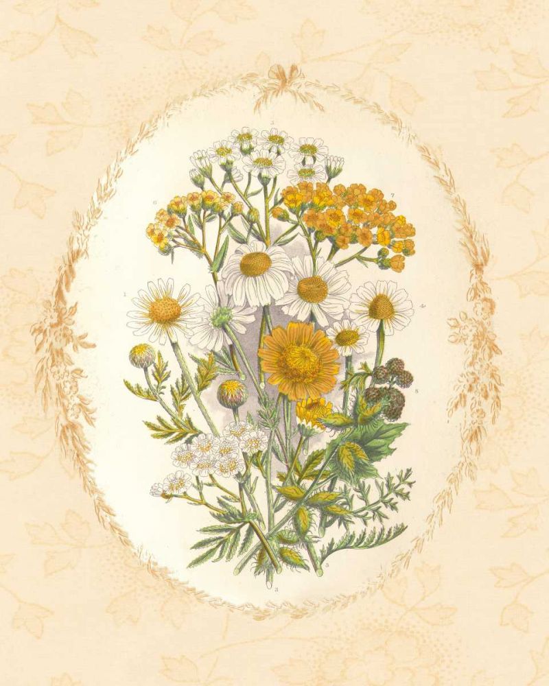 Gentle Soul Bouquet I art print by Wild Apple Portfolio for $57.95 CAD