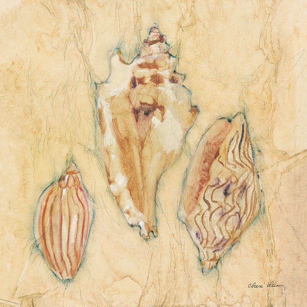Shells I art print by Cheri Blum for $57.95 CAD
