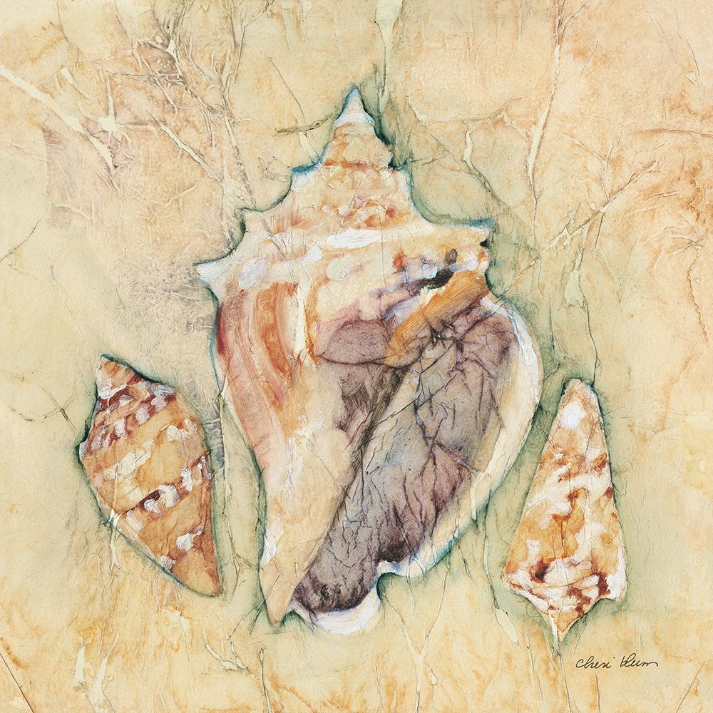 Shells III art print by Cheri Blum for $57.95 CAD