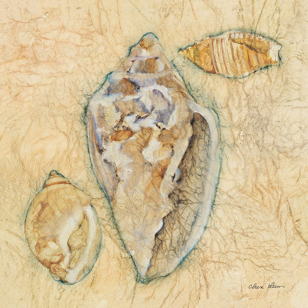 Shells IV art print by Cheri Blum for $57.95 CAD