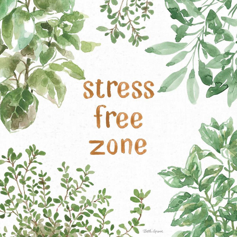 Herb Garden VII Stree Free art print by Beth Grove for $57.95 CAD
