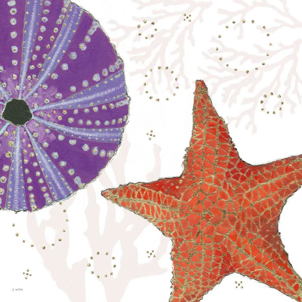 Shimmering Shells III art print by James Wiens for $57.95 CAD